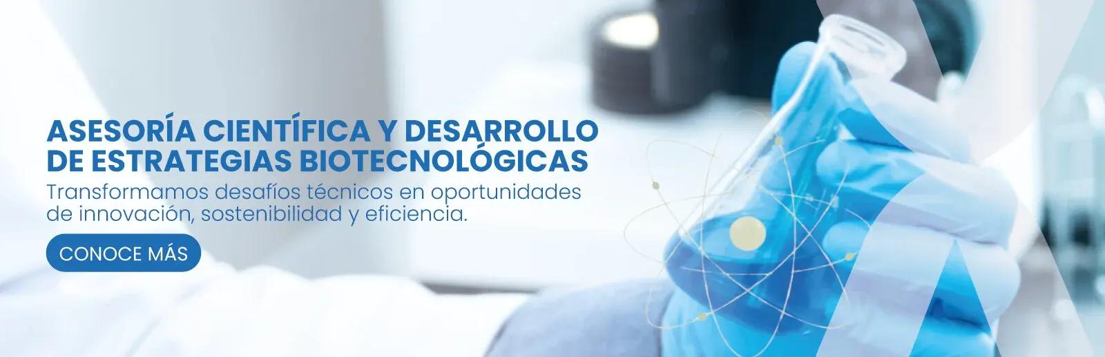 Asesoría científica y desarrollo de estrategias biotecnológicas: transformamos desafíos técnicos en oportunidades de innovación, sostenibilidad y eficiencia. Conoce más